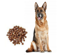 pet food for dog