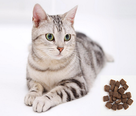 Pet Food For Cat