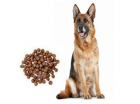 Pet Food - pet food for dog