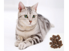 Pet Food - Pet Food For Cat